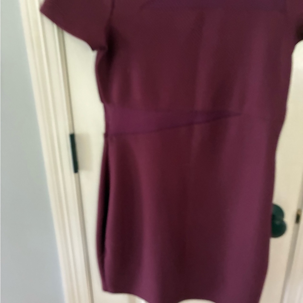 Express cranberry dress